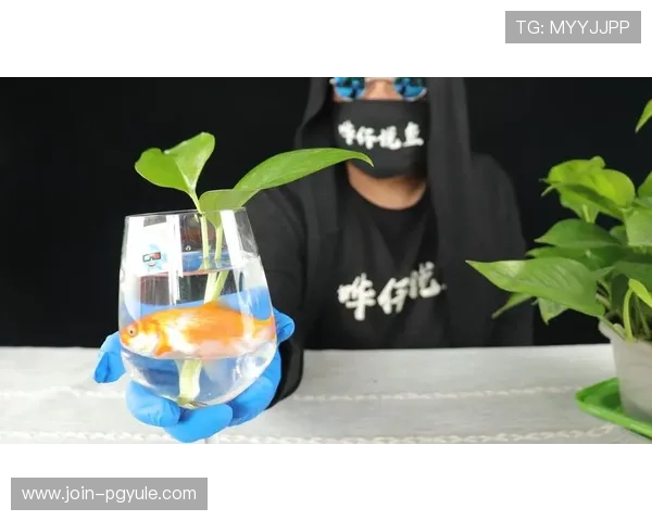 博鱼真人游戏让玩家感受到最逼真的现场互动娱乐体验 博鱼真人游戏让玩家感受到最逼真的现场互动娱乐体验