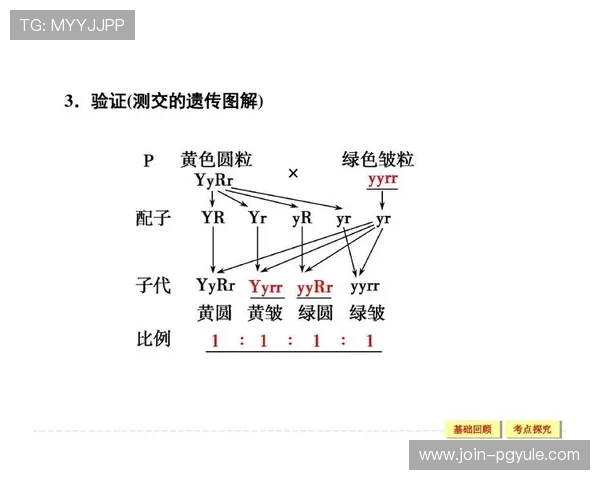 深入了解ag电子放分规律提升中奖率的方法推荐