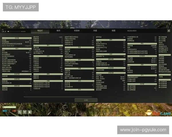ag的网站注册流程详解，快速入门指南帮助新手轻松上手